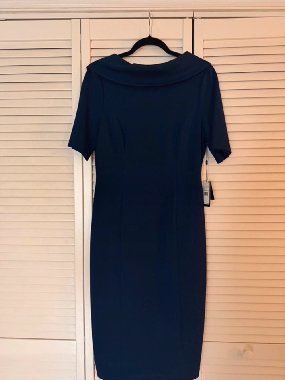 Adrianna Papell roll neck sheath dress